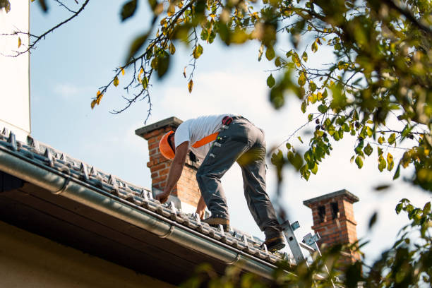 Professional Roofing in Huntley, IL
